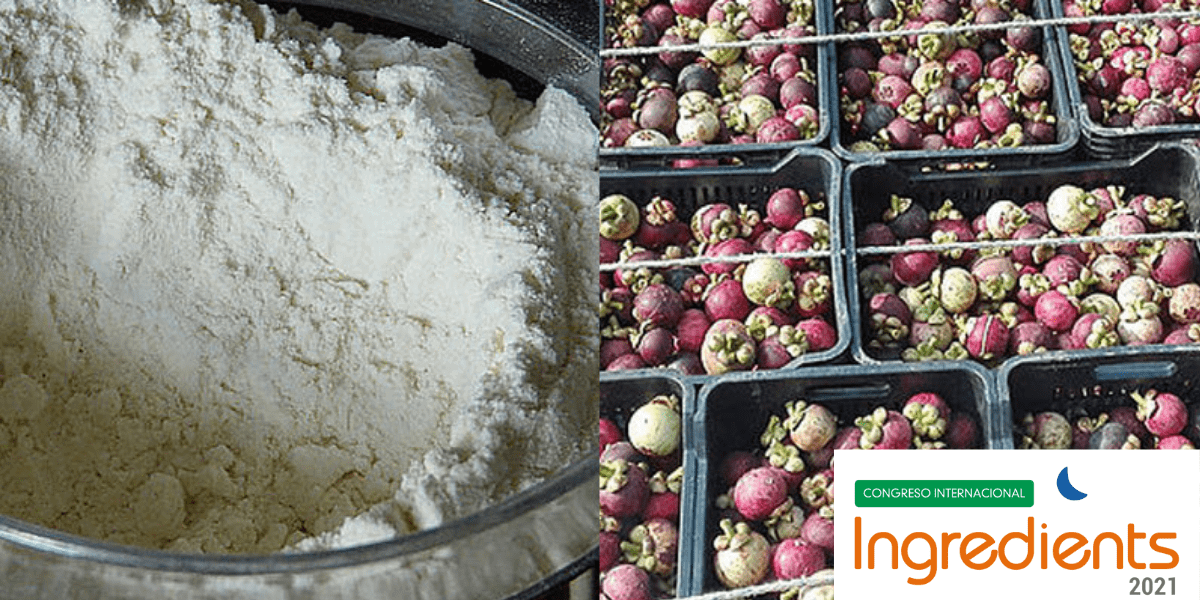 Imagen del artículo Harina de mangostino, un nutritivo suplemento alimenticio